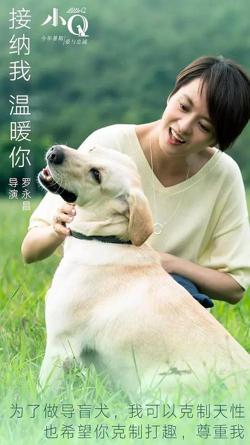 基尔应用技术大学国际商务文凭证书